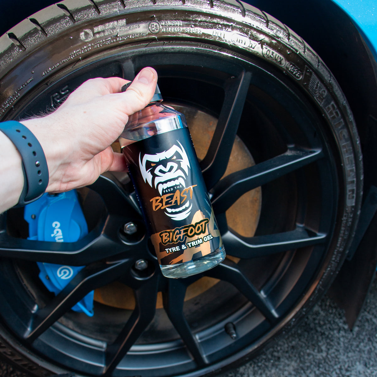 WHEEL BUNDLE | THE WHEEL DEAL