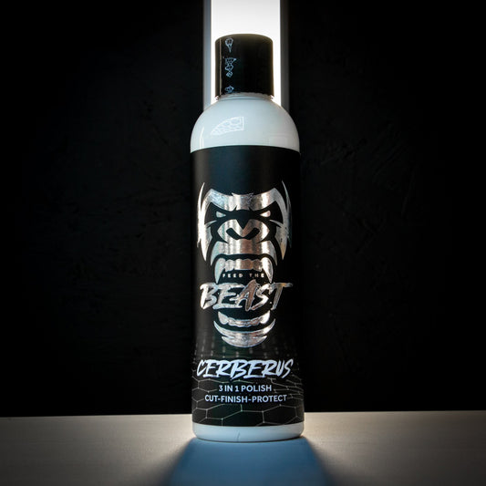 oduct_name# - Feed The Beast Detailing